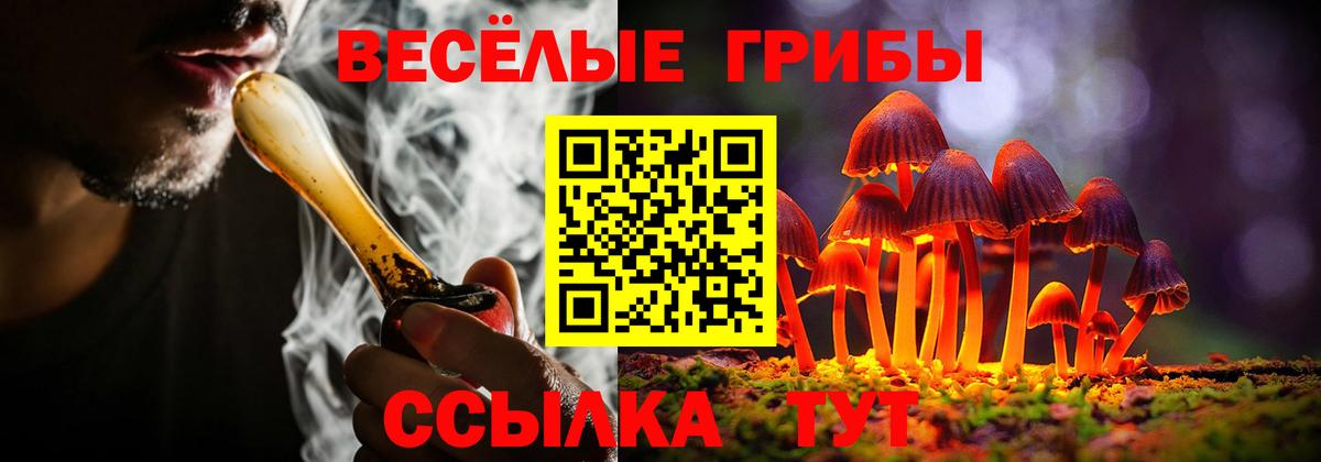 где найти наркотики  Галлюциногенные грибы Cubensis  Вход с VPN  Карачаевск 