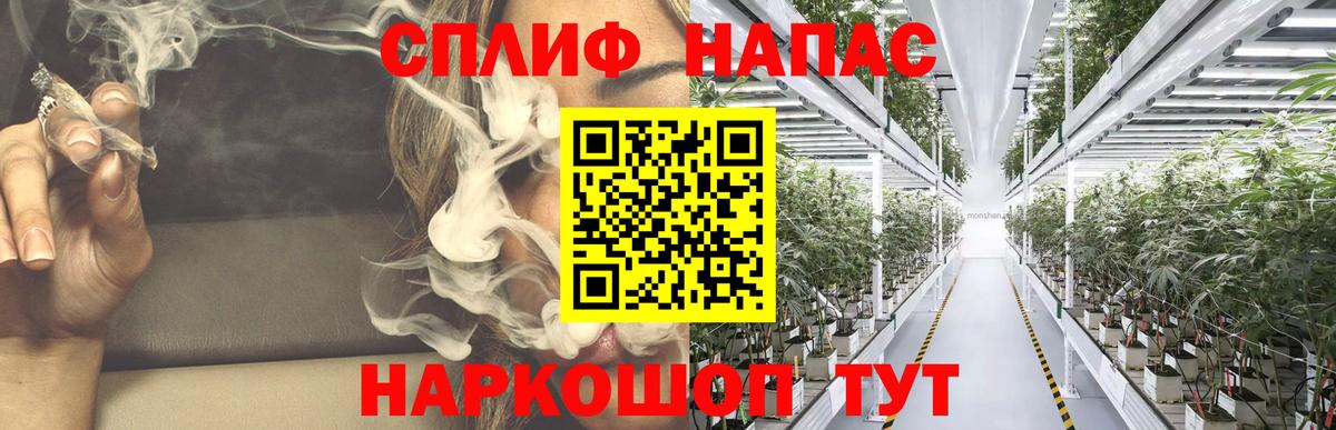 Марихуана планчик  Канабис план  Вход с VPN  Бошки марихуана марихуана  Карачаевск 